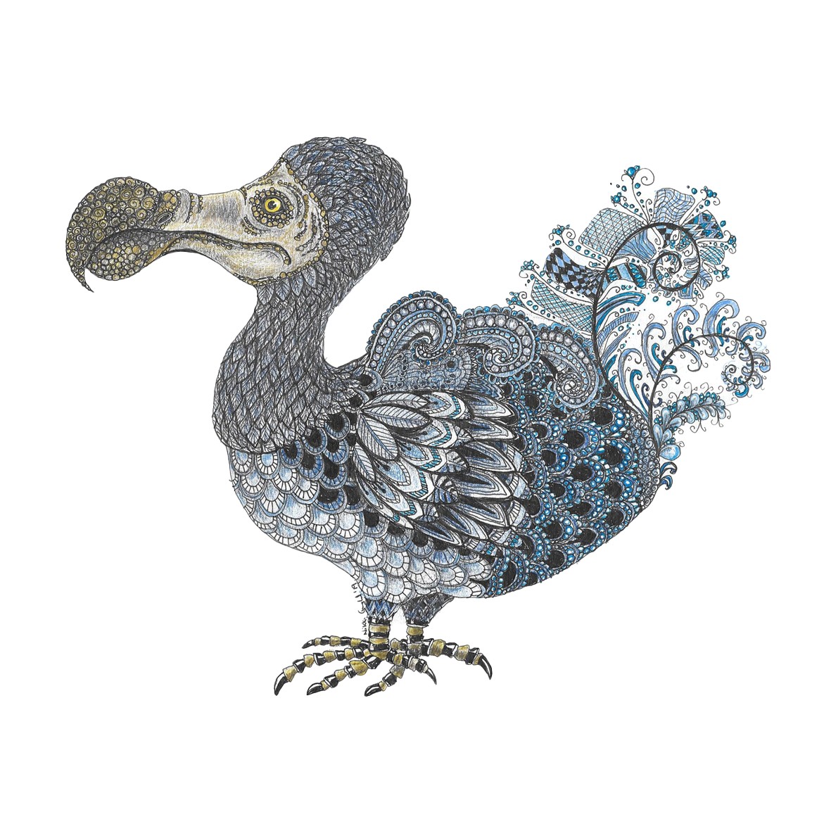 Timeless Curiosity UK  Dodo